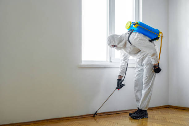 Best Pest Exclusion Services  in Dundee, OR